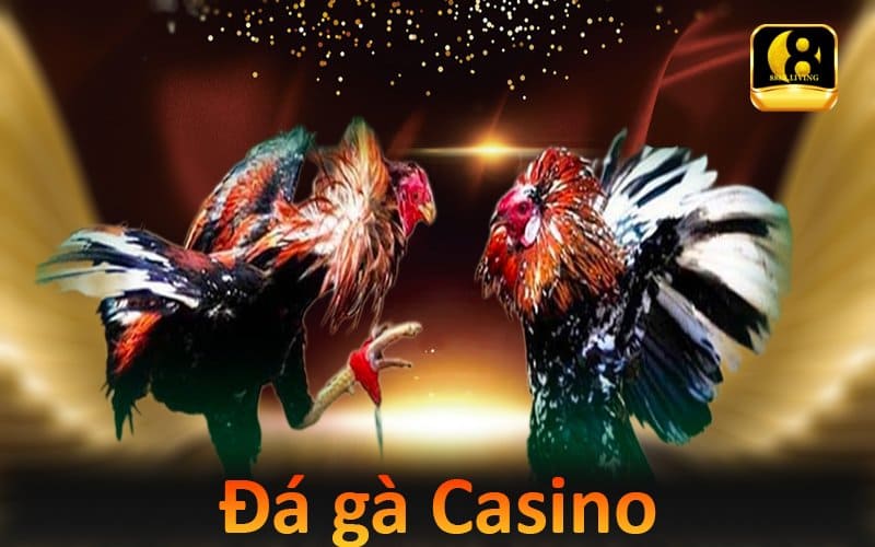 Đá gà Casino